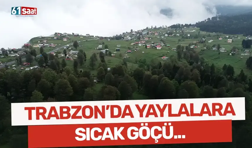 Trabzon'da yaylalara sıcak göçü...