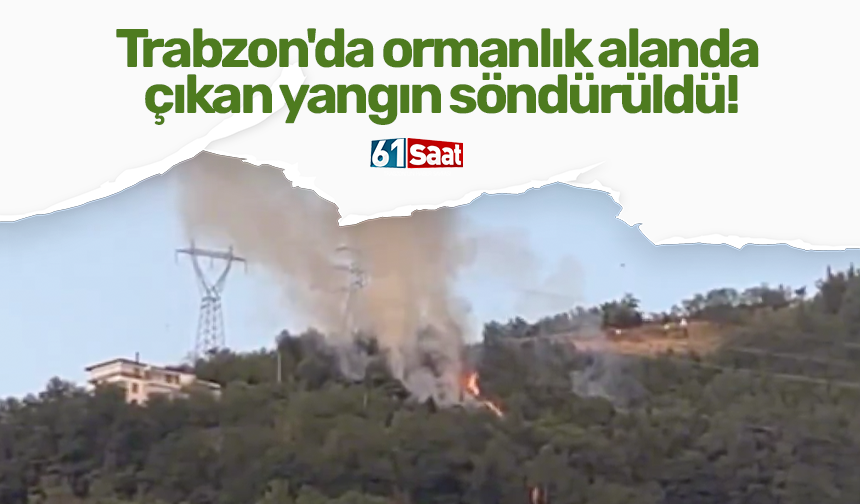Trabzon'da ormanlık alanda çıkan yangın söndürüldü!