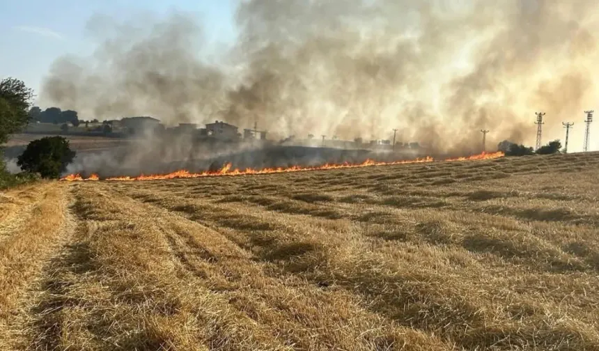 Samsun'da  anız yangını  çıktı