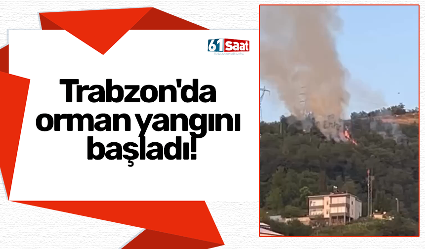 Trabzon'da orman yangını başladı!