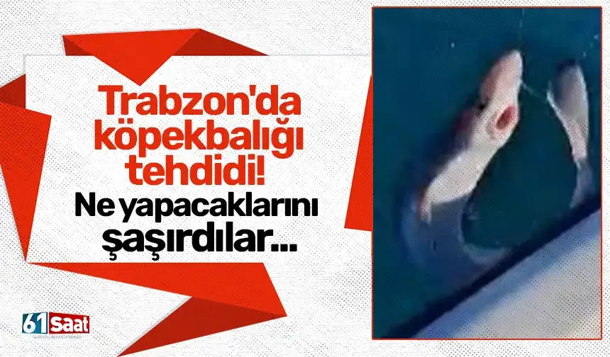 Trabzon'da köpekbalığı tehdidi! Ne yapacaklarını şaşırdılar...