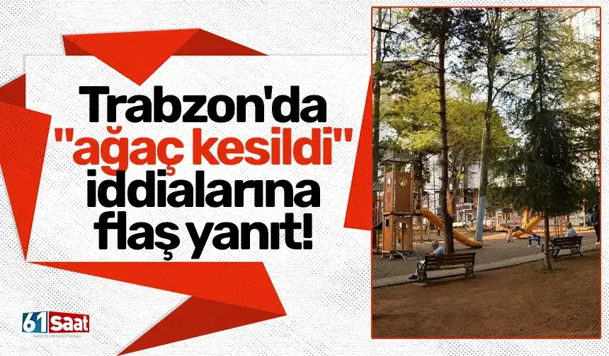 Trabzon'da "ağaç kesildi" iddialarına flaş yanıt!