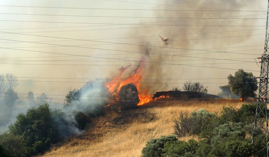 Zirai alanda başlayan yangın ormana sıçradı müdahale devam ediyor