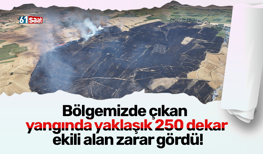 Bölgemizde çıkan  yangında yaklaşık 250 dekar  ekili alan zarar gördü!