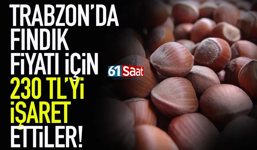 Trabzon'da fındık fiyatı için 230 TL'yi işaret etiler..