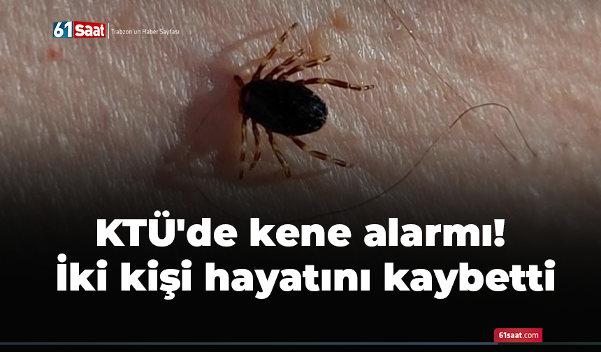 KTÜ'de kene alarmı! İki kişi hayatını kaybetti