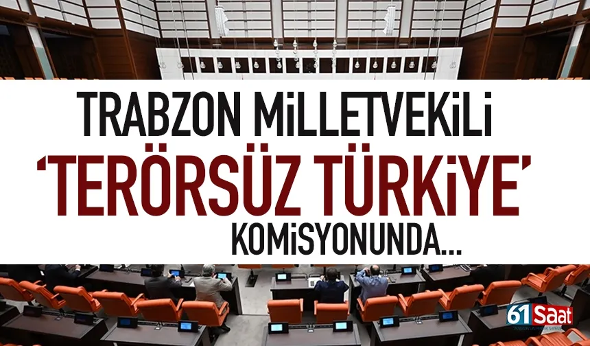 Trabzon Milletvekili 'Terörsüz Türkiye' komisyonunda...