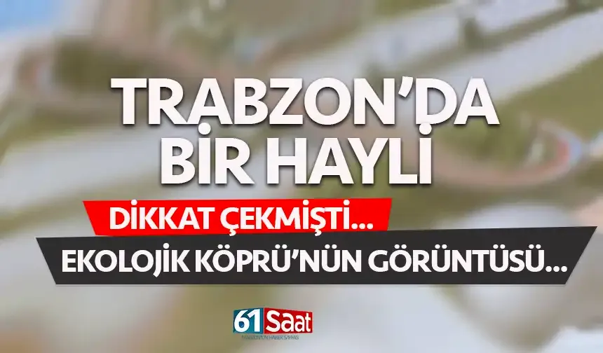 Bir hayli dikkat çekmişti! İşte ekolojik köprünün görüntüsü...