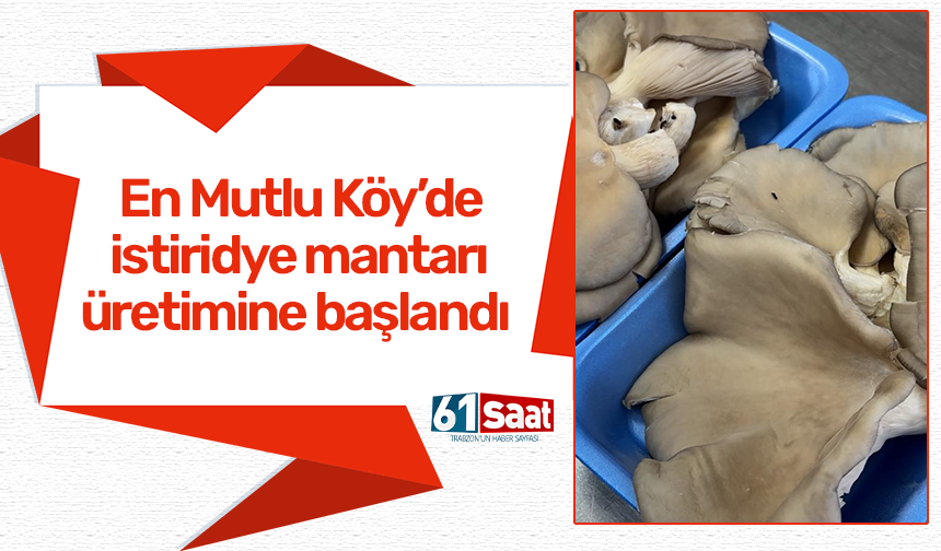 En Mutlu Köy’de istiridye mantarı üretimine başlandı