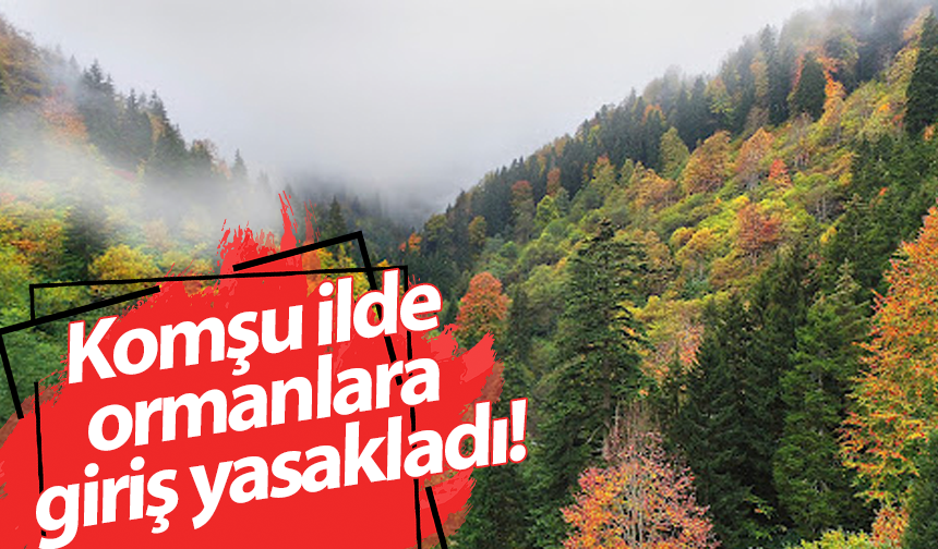 Komşu ilde ormanlara giriş yasakladı!