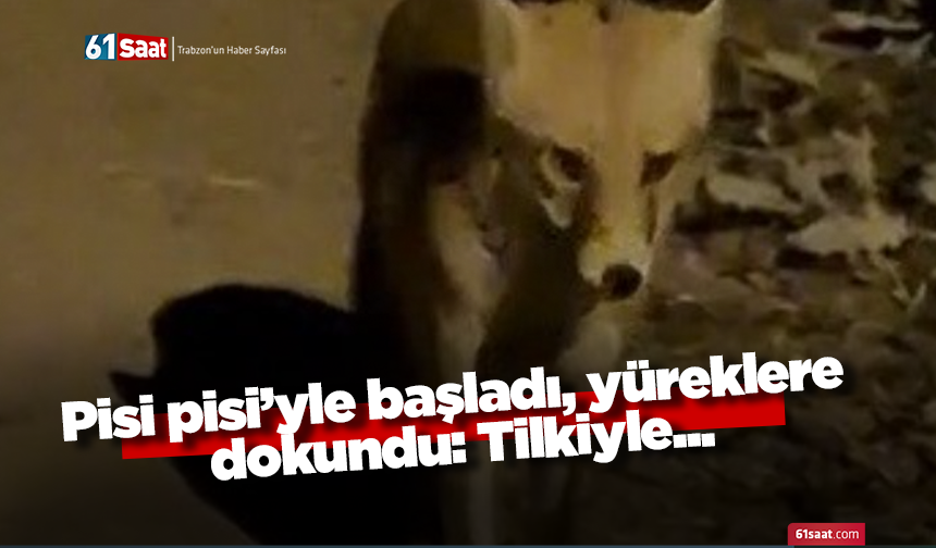 Pisi pisi’yle başladı, yüreklere dokundu: Tilkiyle...