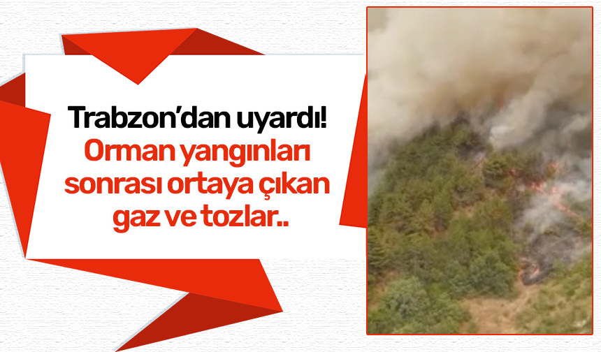 Trabzon’dan uyardı! Orman yangınları sonrası ortaya çıkan gaz ve tozlar..