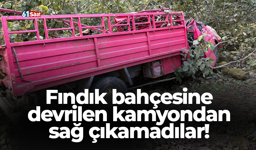 Fındık bahçesine devrilen kamyondan sağ çıkamadılar!