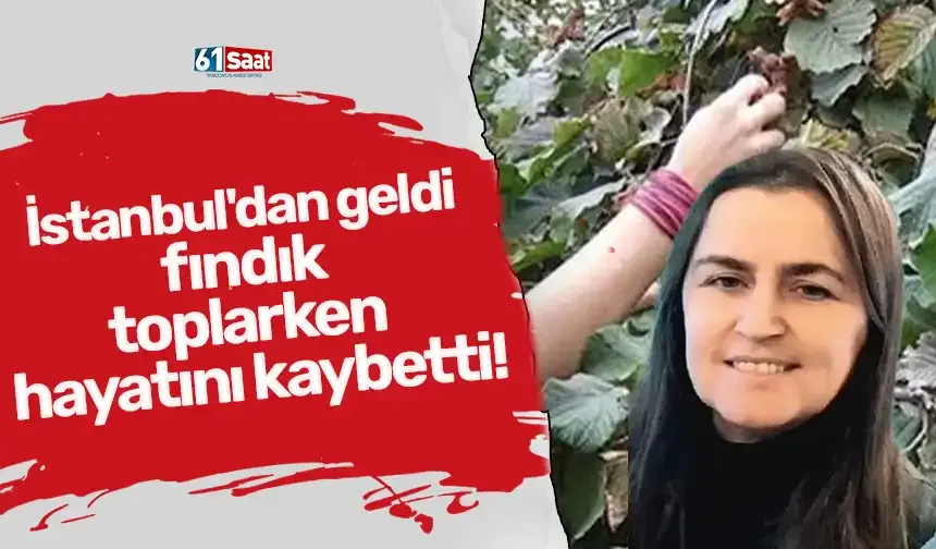 İstanbul'dan geldi fındık toplarken hayatını kaybetti!