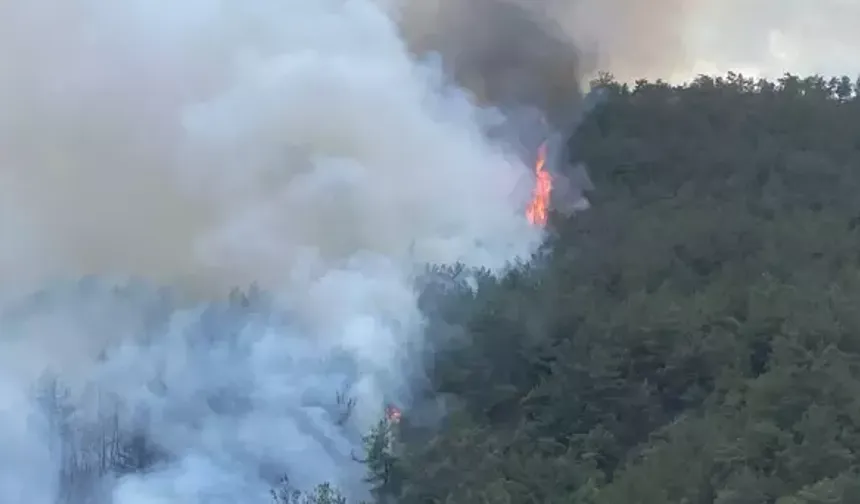 Karabük'te orman yangını! 3 helikopter ve 161 personel müdahale ediyor