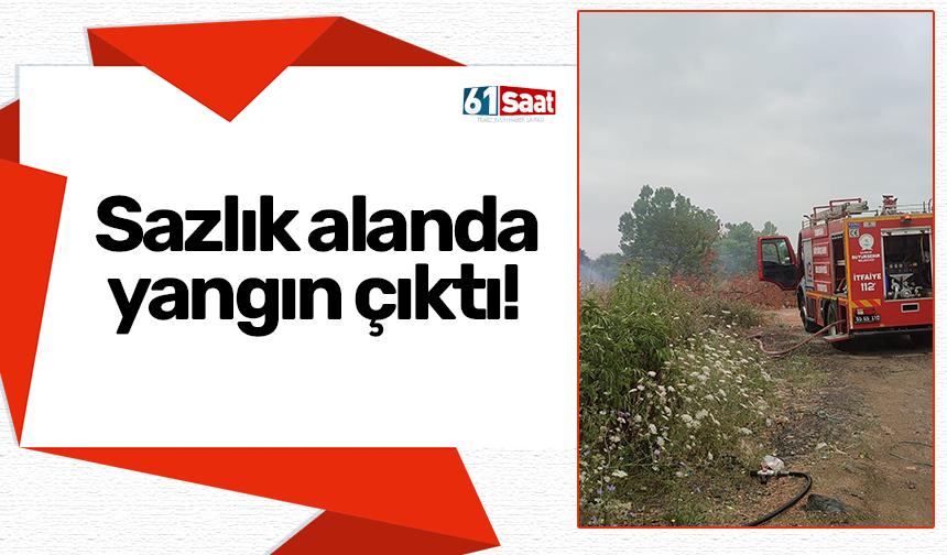 Sazlık alanda yangın çıktı!