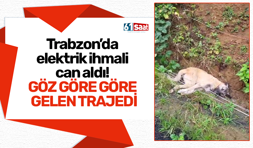 Trabzon’da elektrik ihmali can aldı! Göz göre göre gelen trajedi