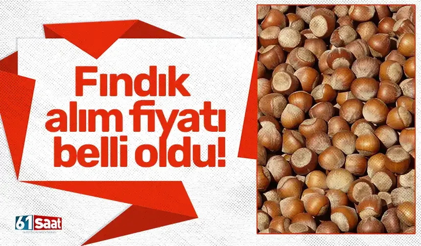 Fındık alım fiyatı belli oldu!