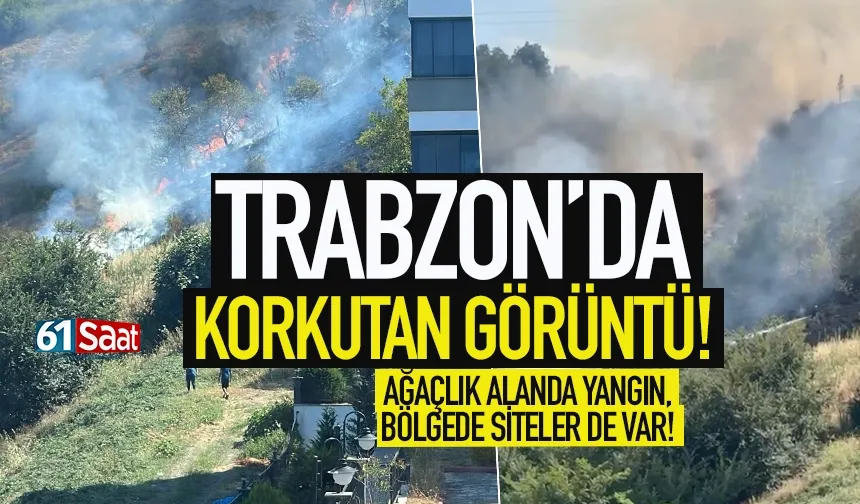 Trabzon'da vadide yangın... Bölgede siteler de var!