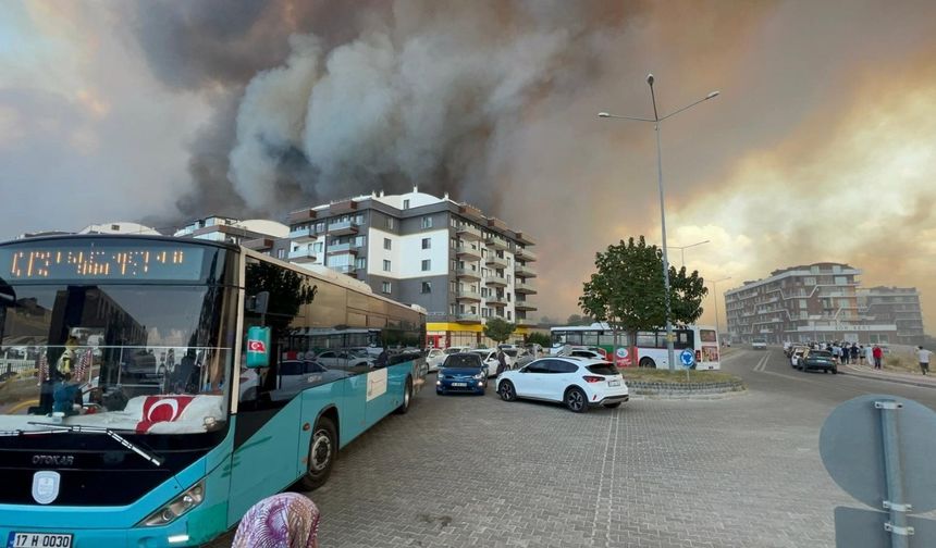 Çanakkale'de orman yangını: Boğaz trafiğe tek yönlü kapatıldı