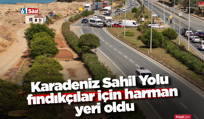 Karadeniz Sahil Yolu fındıkçılar için harman yeri oldu
