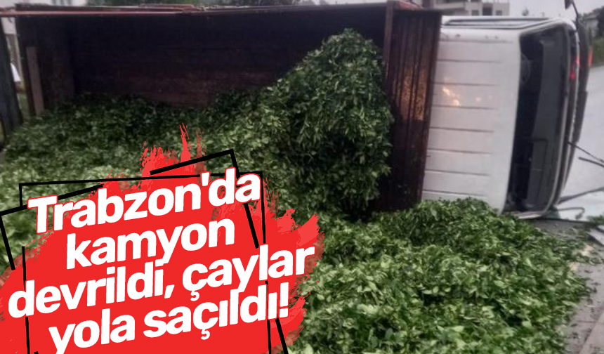 Trabzon'da kamyon devrildi, çaylar yola saçıldı!