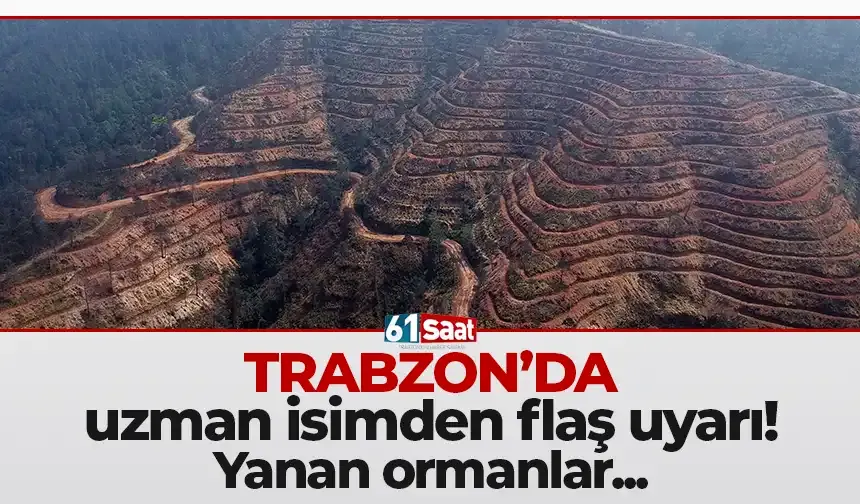 Trabzon'da uzman isimden flaş uyarı! Yanan ormanlar...