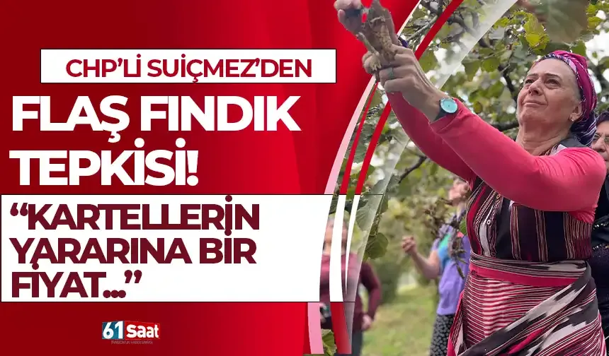 CHP'li Suiçmez'den flaş fındık tepkisi... "Kartellerin yararına bir fiyat..."
