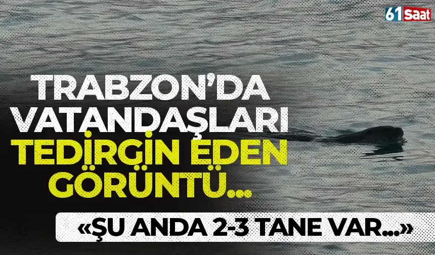 Trabzon'da vatandaşları tedirgin eden görüntü...