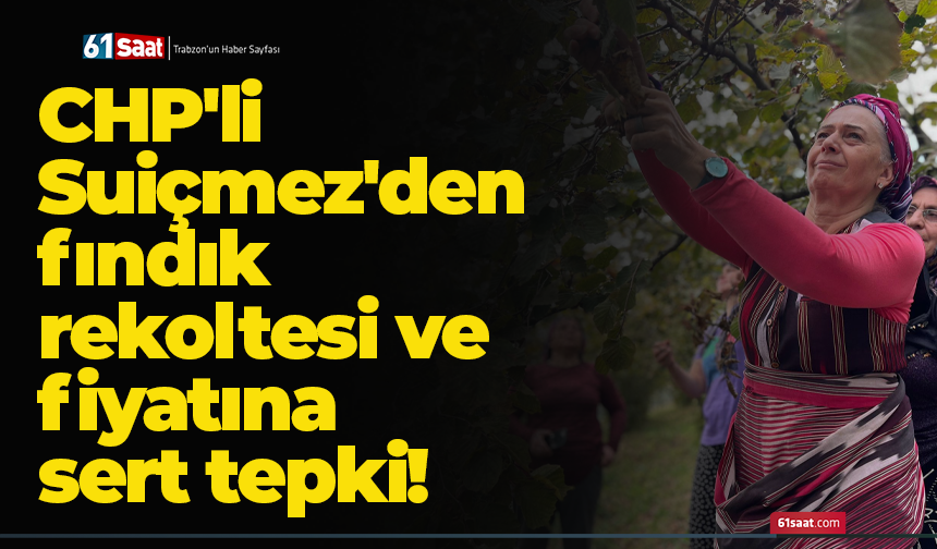 CHP'li Suiçmez'den fındık rekoltesi ve fiyatına sert tepki!