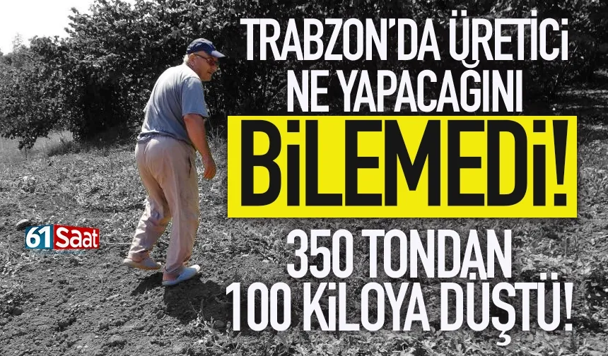 Trabzon'da üretci ne yapacağını bilemedi! 350 tondan,100 kiloya düştü