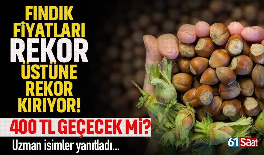 Fındık fiyatı rekor üstüne rekor kırıyor.. 400 TL'yi geçer mi?