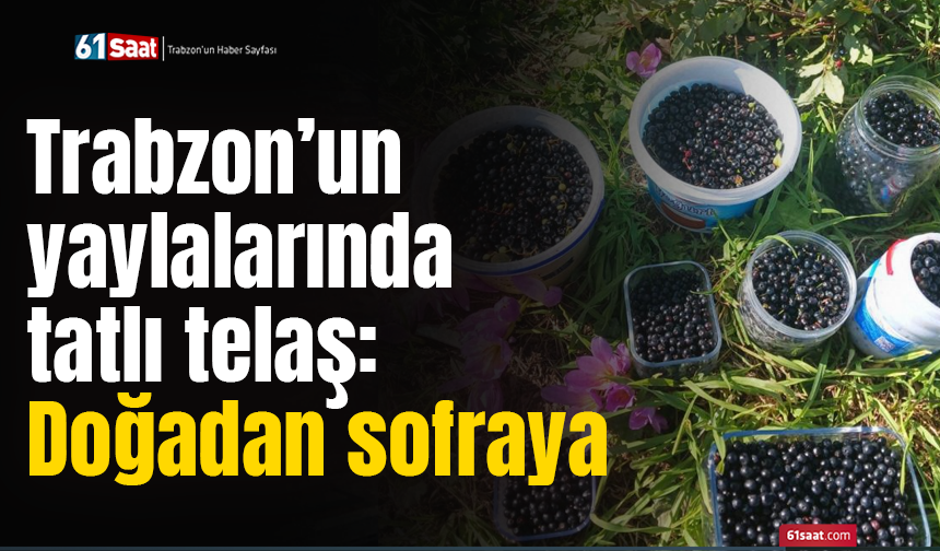 Trabzon’un yaylalarında tatlı telaş: Doğadan sofraya