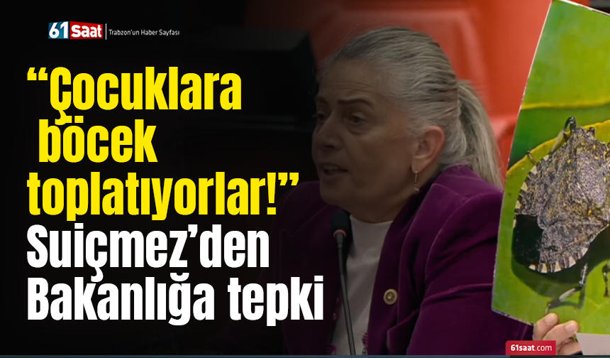“Çocuklara böcek toplatıyorlar!” Suiçmez’den Bakanlığa tepki