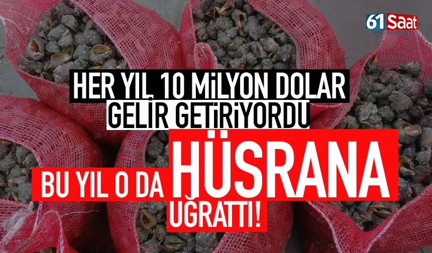 10 Milyon dolar gelir sağlamıştı, Trabzon'da balıkçıların umdukları gibi olmadı!
