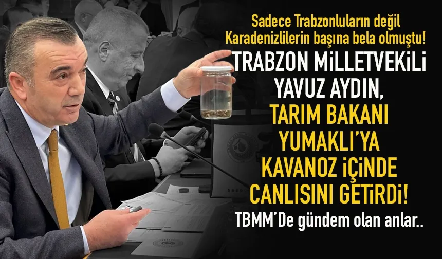 Trabzon Milletvekili Yavuz Aydın, canlı canlı meclise getirdi...