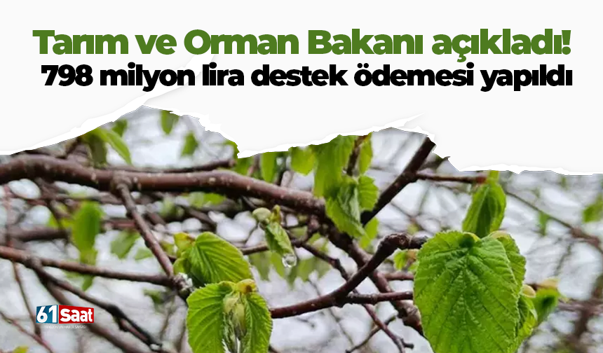 Tarım ve Orman Bakanı açıkladı! 798 milyon lira destek ödemesi yapıldı