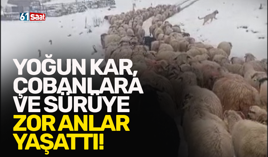 Yoğun kar, çobanlara ve sürüye zor anlar yaşattı!