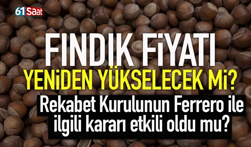Fındık fiyatı yeniden yükselecek mi? İşte son gelişmeler...