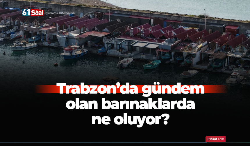 Trabzon'da gündem olan barınaklarda ne oluyor?