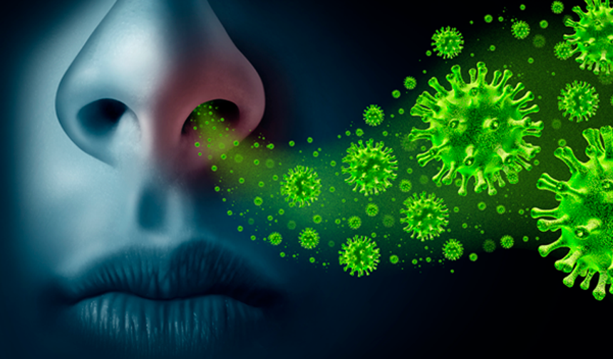 Ağır geçireceğimiz grip yolda! Uçakla gelecek