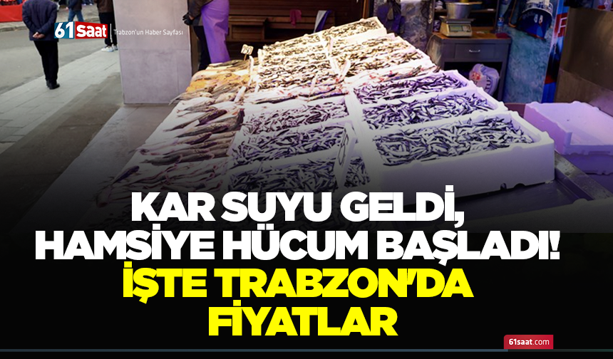 Kar suyu geldi, hamsiye hücum başladı! İşte Trabzon'da fiyatlar