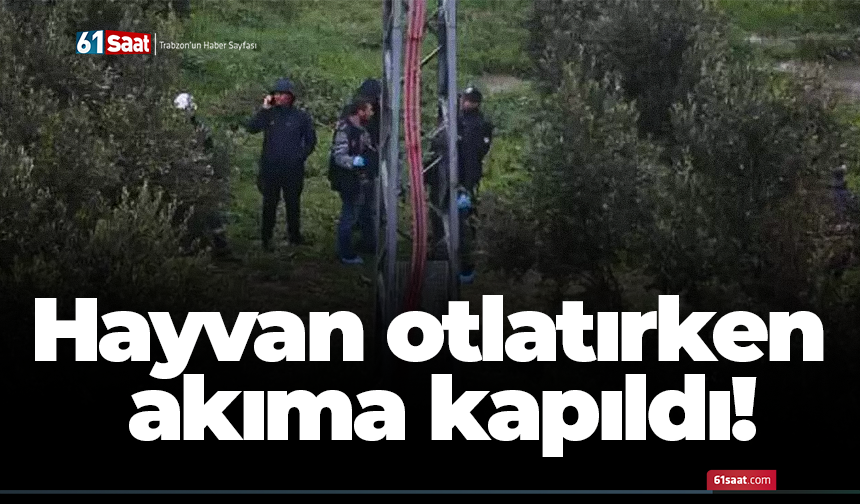 Hayvan otlatırken akıma kapıldı!