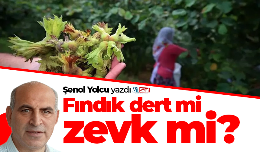 Şenol Yolcu yazdı! Fındık dert mi zevk mi?