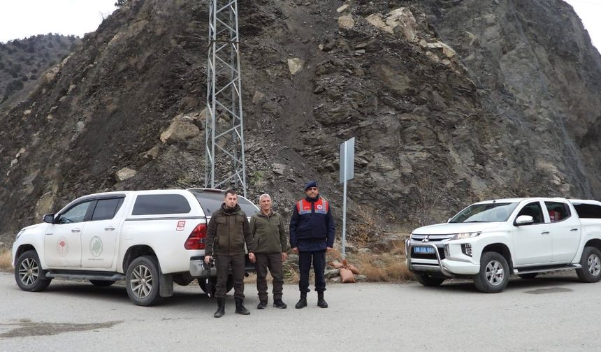 Artvin’de kaçak avcılığa karşı denetimleri sürüyor