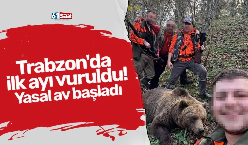 Trabzon'da ilk ayı vuruldu! Yasal av başladı