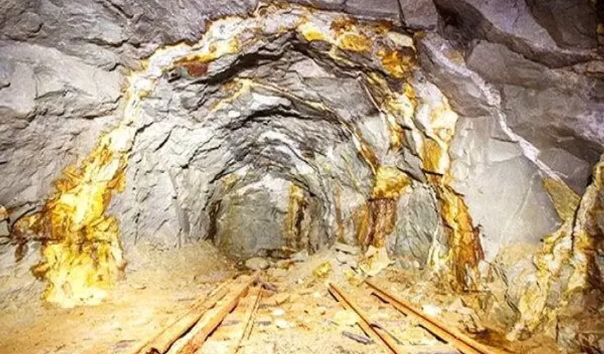 Dudak uçuklatan altın keşfi!