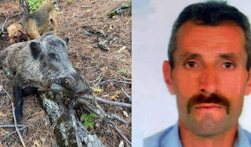 Trabzonlu isim domuz saldırısı sonucu hayatını kaybetti!