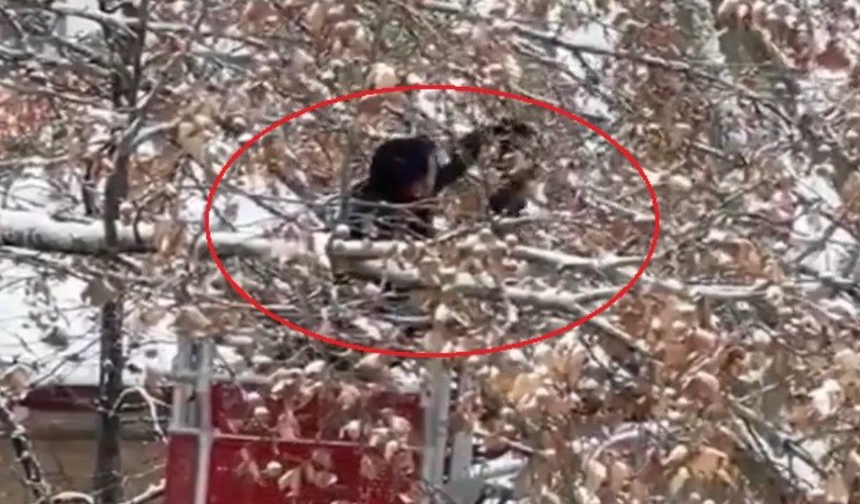 Vatandaş fark etti, itfaiye kurtardı!