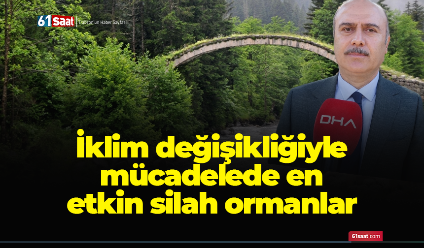 İklim değişikliğiyle mücadelede en etkin silah ormanlar